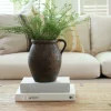 Atticus Jug