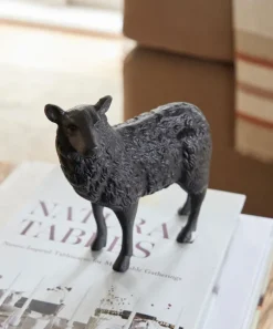 Black Sheep