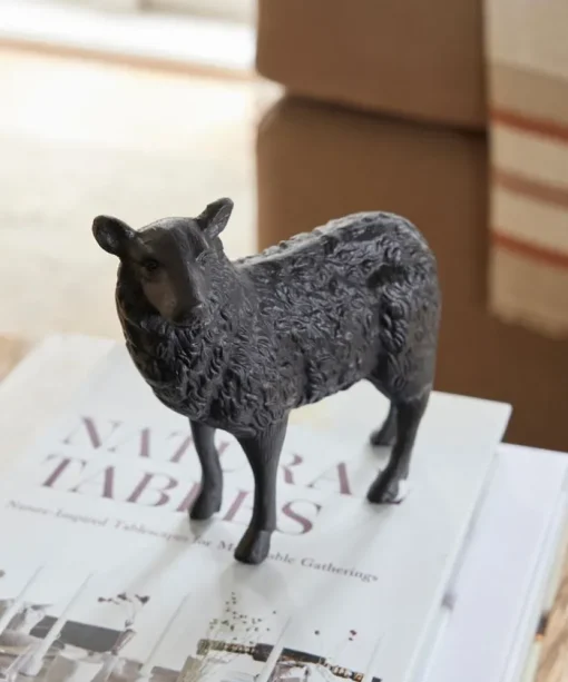 Black Sheep