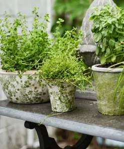 Botanical Fluted Pot Small