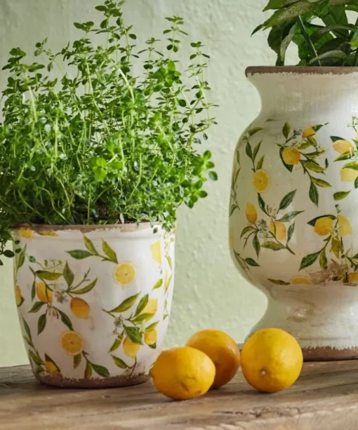 Botanical Lemon Pot Large