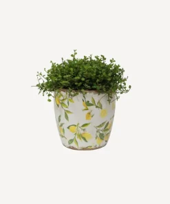 Botanical Lemon Pot Large