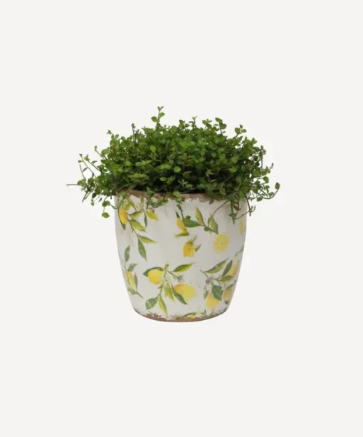 Botanical Lemon Pot Large