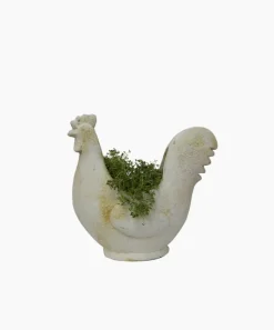 Chook Flower Pot