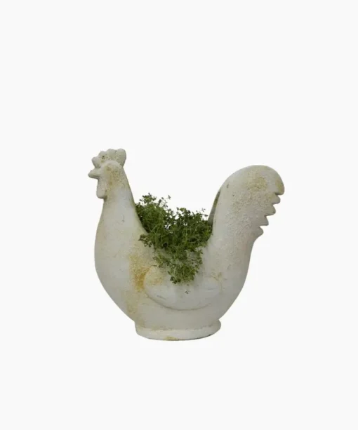 Chook Flower Pot