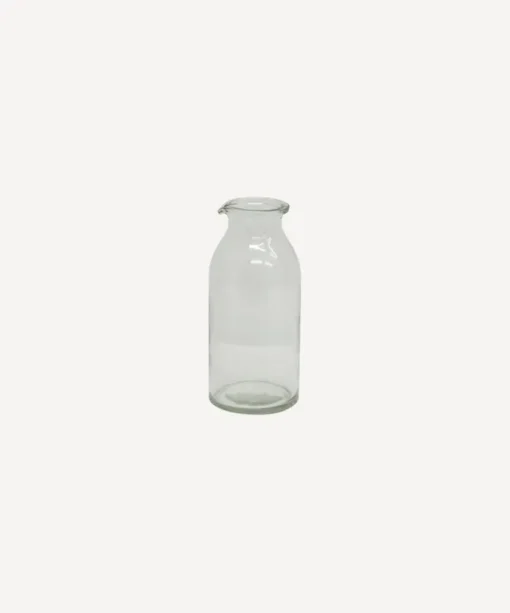 Clear Bottle Vase Short