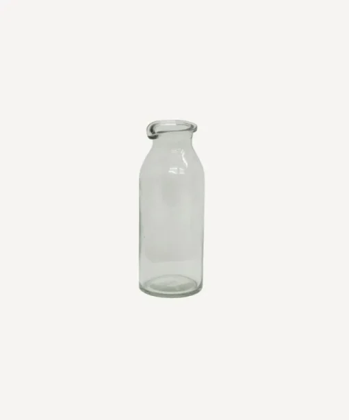 Clear Bottle Vase Tall