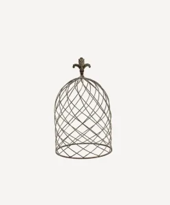 Cloche Dome Small