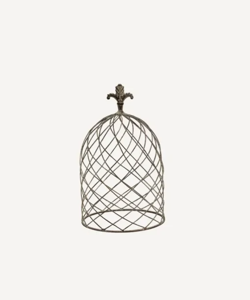 Cloche Dome Small