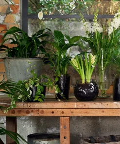 Dappled Clear Conical Vase