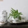 Dragonfly Round Planter