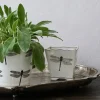 Dragonfly Small Square Planter