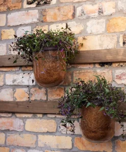 Esk Hurricane Wall Sconce