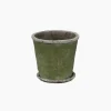 Evergreen Plant Pot & Saucer Medium