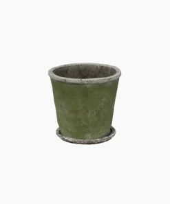 Evergreen Plant Pot & Saucer Medium