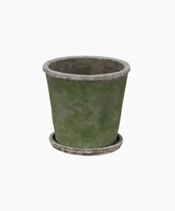 Evergreen Plant Pot & Saucer Large