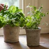 Gris Planter Small
