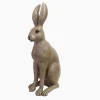 Harold the Hare Brown