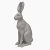 Harold the Hare Grey