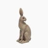 Harold the Hare Turning Brown