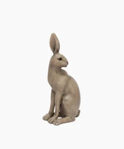 Harold the Hare Turning Brown