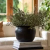 Herman Planter Large