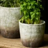 Marron Planter Pot Large