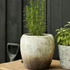 Marron Planter Vase Medium