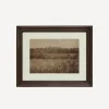 Pastural Glade Landscape