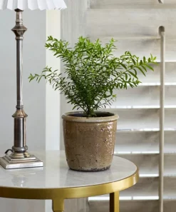 Stone Glazed Terracotta Pot