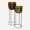 Wine Cooler on Stand (SET2)